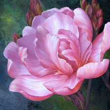 Схема вышивки «Первоцвет»