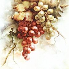 Схема вышивки «№582365»