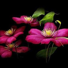 Схема вышивки «№582370»