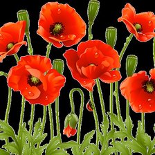 Схема вышивки «маки»