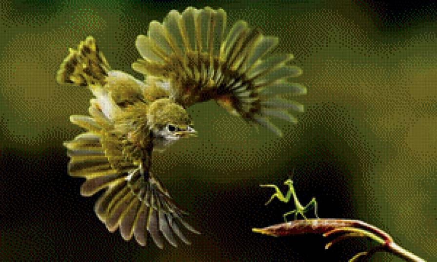 полет - предпросмотр