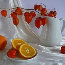 Схема вышивки «физалис в вазе»