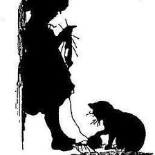 доча и кошка