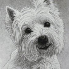 Схема вышивки «собачка монохром»