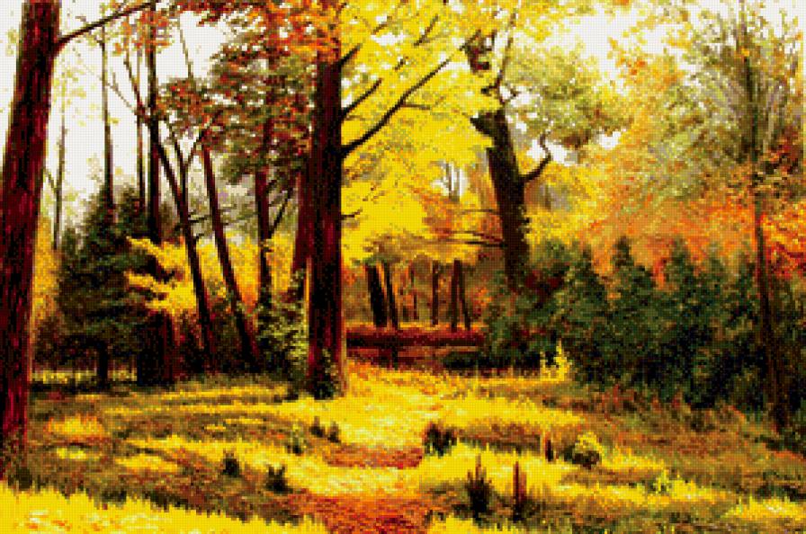 осень в лесу - лес, осень, пейзаж - предпросмотр