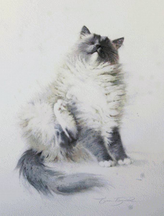 Киска - кошки, животные - предпросмотр