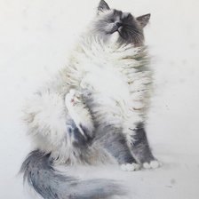 Схема вышивки «Киска»