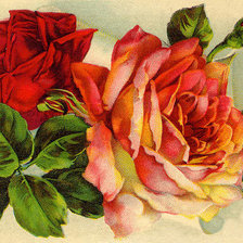 Схема вышивки «№582961»