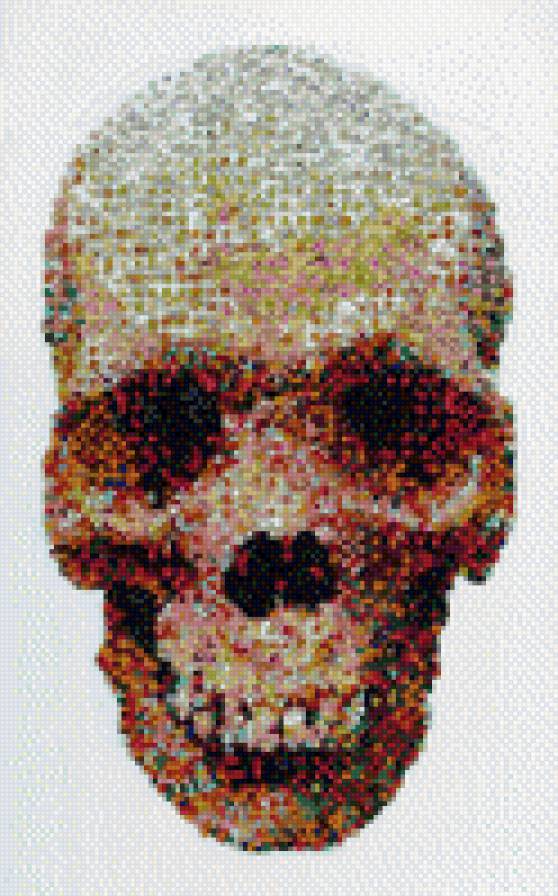 Joe Black Skull - предпросмотр