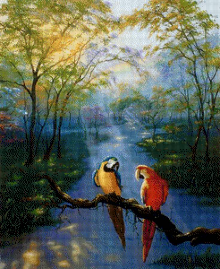 Попугаи.Джим Уоррен - джим уоррен, живопись, попугаи, птицы - предпросмотр