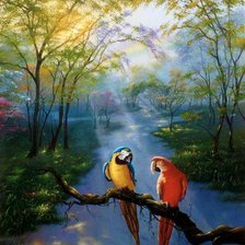 Схема вышивки «Попугаи.Джим Уоррен»