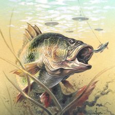 Схема вышивки «№583214»