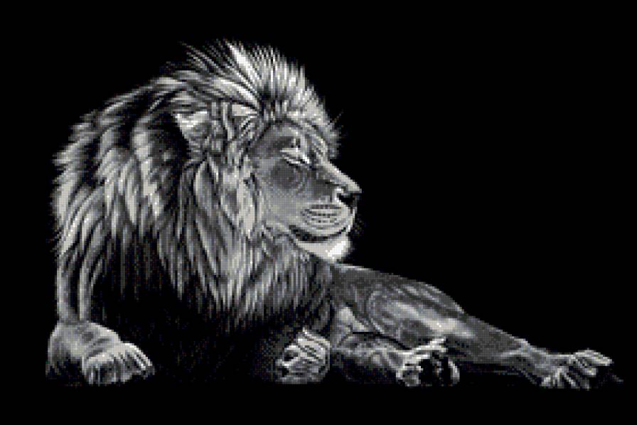 лев - лев, животные - предпросмотр