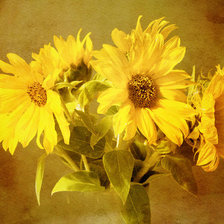 Схема вышивки «Желтый букет»