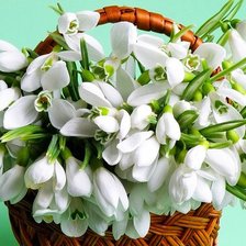 Схема вышивки «№583402»