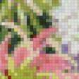 Предпросмотр схемы вышивки «№583416»