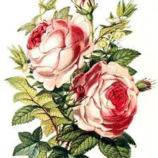 Схема вышивки «№583419»