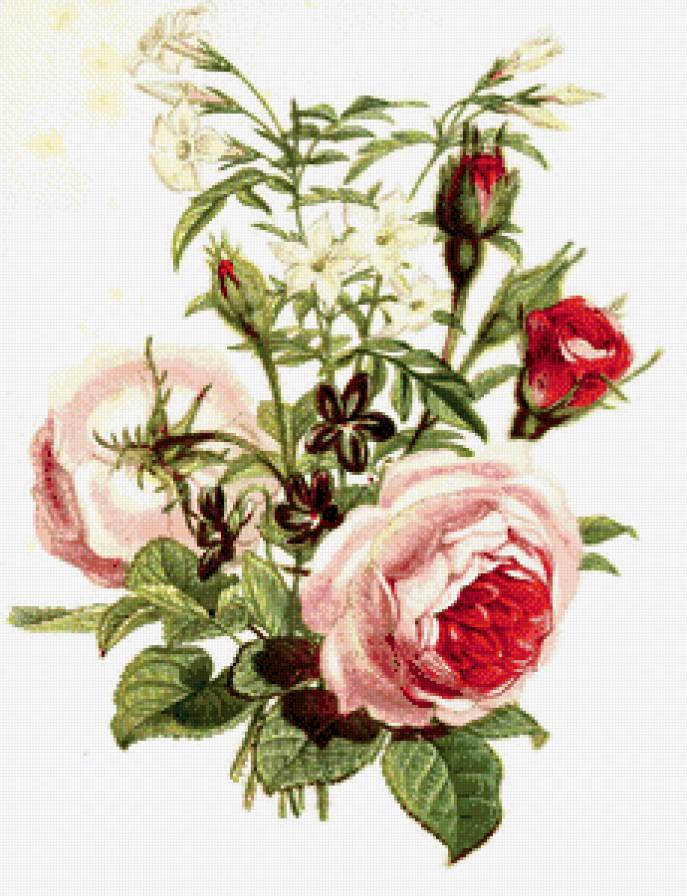 №583439 - предпросмотр