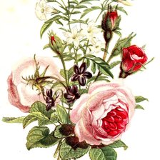 Схема вышивки «№583439»