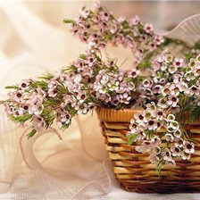 Схема вышивки «№583457»