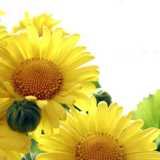 Схема вышивки «№583495»