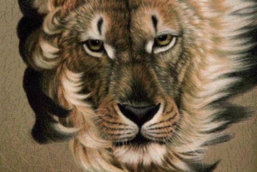 №583517 - предпросмотр