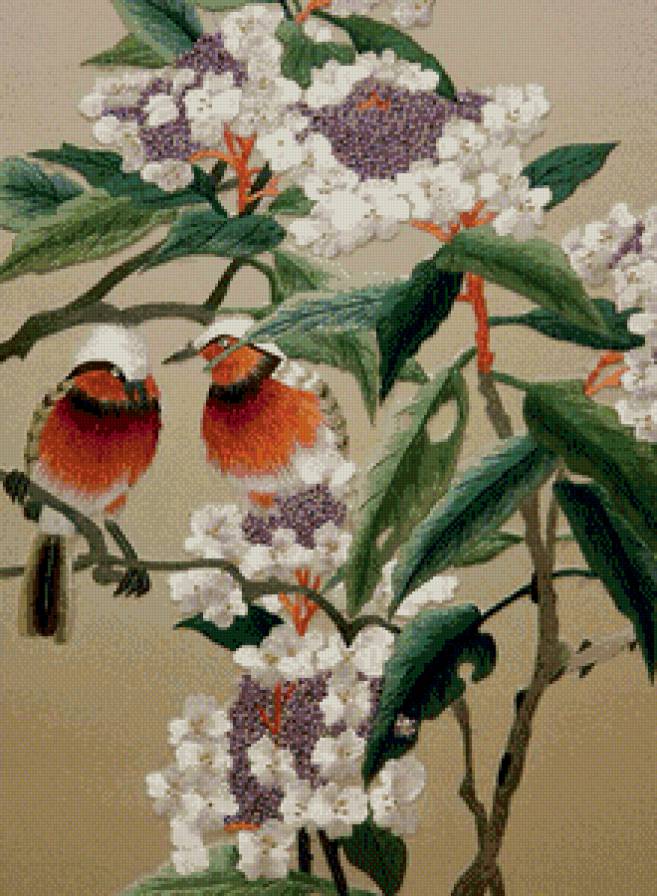 птицы - предпросмотр