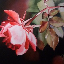 Схема вышивки «Роза Акварель»