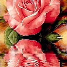 Схема вышивки «Отражение розы»