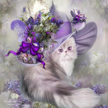 кошка в шляпке