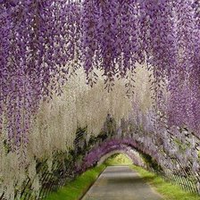 Схема вышивки «Цветущая алея»