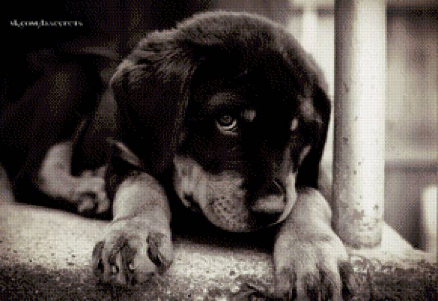 Грусть - предпросмотр