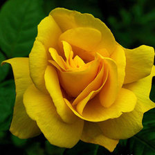 Схема вышивки «цветок»