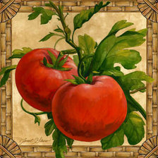 Схема вышивки «№583972»