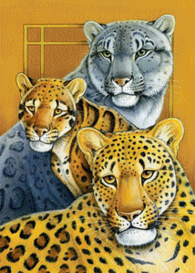 животные планеты - пума, ягуар, хищник, леопард - предпросмотр