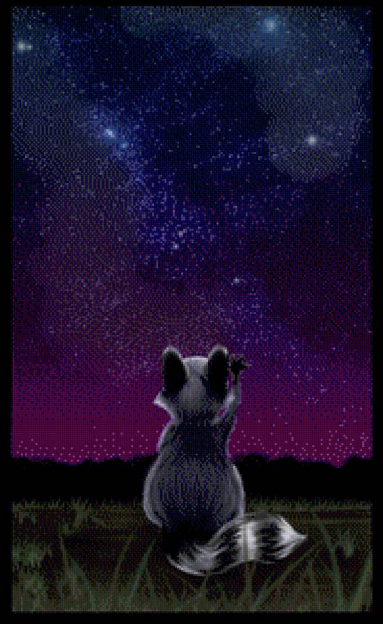 Енот-мечтатель - небо, звезды, енот, трава, фиолетовый, ночь - предпросмотр