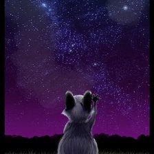 Схема вышивки «Енот-мечтатель»