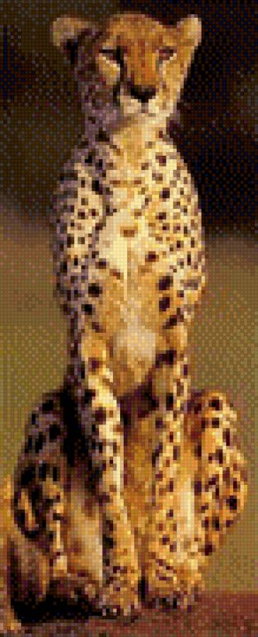 Гепард - гепард, кошки - предпросмотр