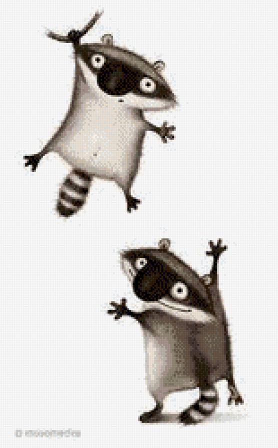 Смешные еноты - графика, рисунок, енот - предпросмотр