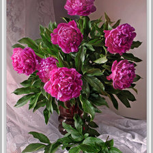 Схема вышивки «Пионы»