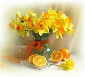 Схема вышивки «НАРЦИССЫ»