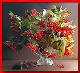 Схема вышивки «КАЛИНА КРАСНАЯ»