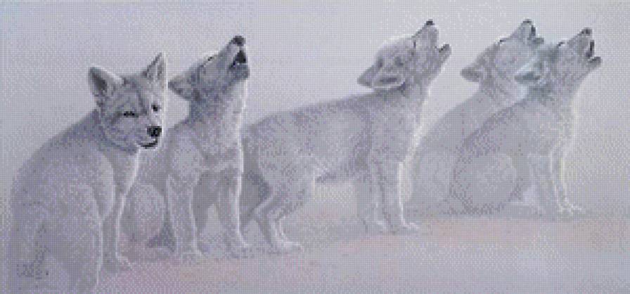 Волчата - волк, животные - предпросмотр