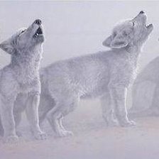 Схема вышивки «Волчата»