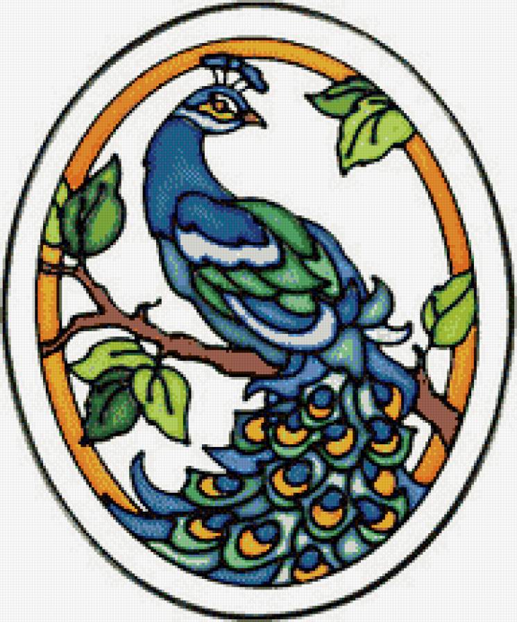 Павлин - восток, птицы, азия - предпросмотр