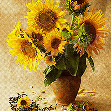 Схема вышивки «подсол»