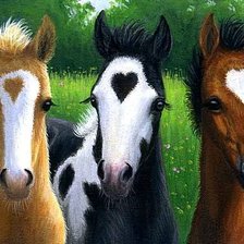 Схема вышивки «Красавицы-лошадки»