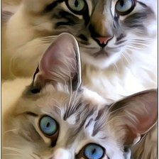 Схема вышивки «синие глазки»