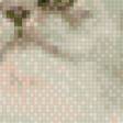 Предпросмотр схемы вышивки «котики в цветах» (№584452)