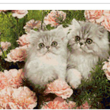 Схема вышивки «котики в цветах»